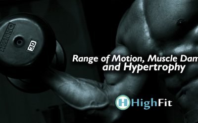 Amplitude de Movimento, Dano Muscular e Hipertrofia
